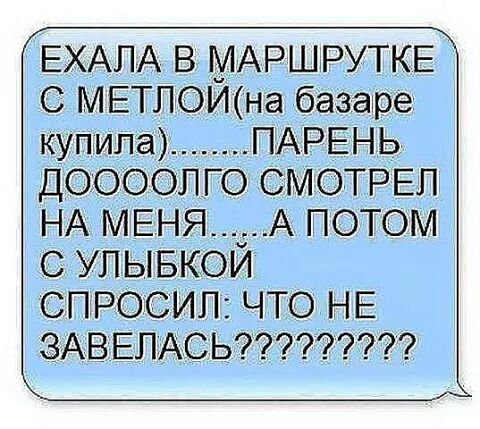 IMG_2806779762140.jpeg