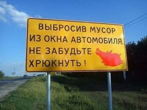 IMG_2424280944150.jpeg