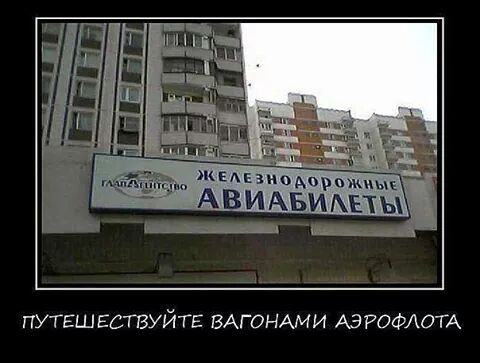 IMG_1639619589265.jpeg
