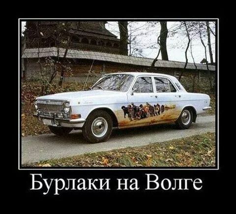 IMG_6774762883037.jpeg