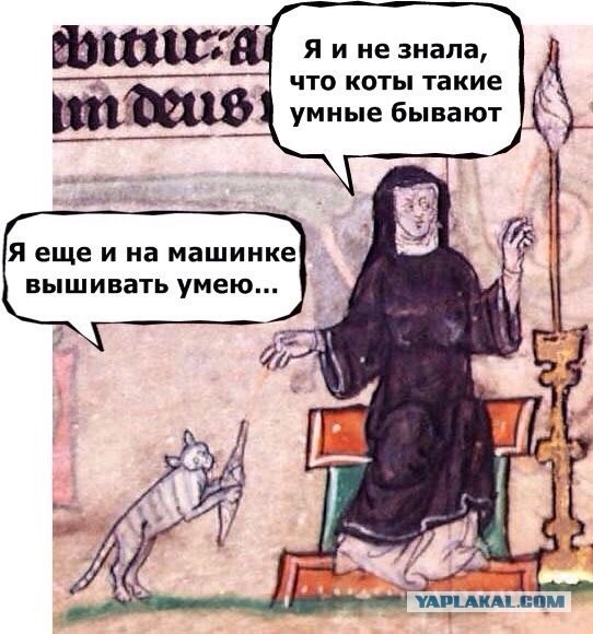 kotiumnye.jpg