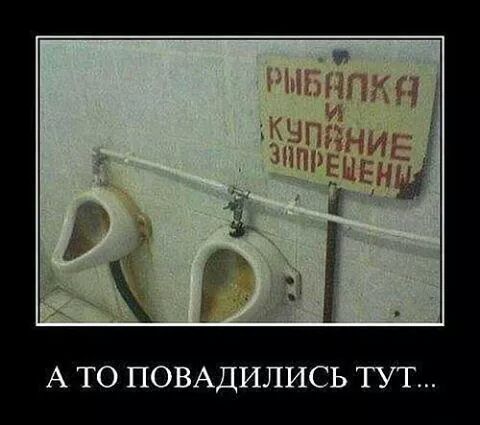 IMG_1367095451620.jpeg