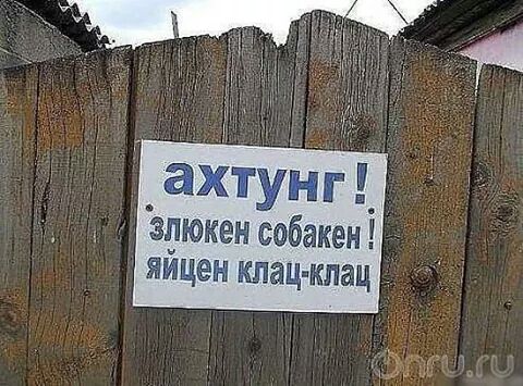 IMG_1152872915138.jpeg