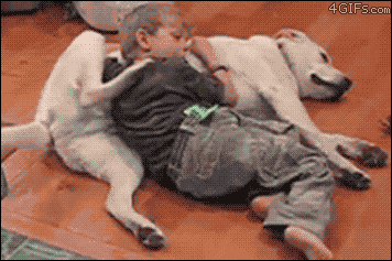 tumblr_m8ewuaH1Au1r8cvzdo1_400_yapfiles.ru[1].gif