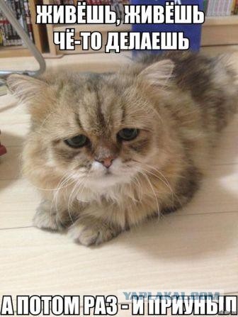 приуныл1.jpg