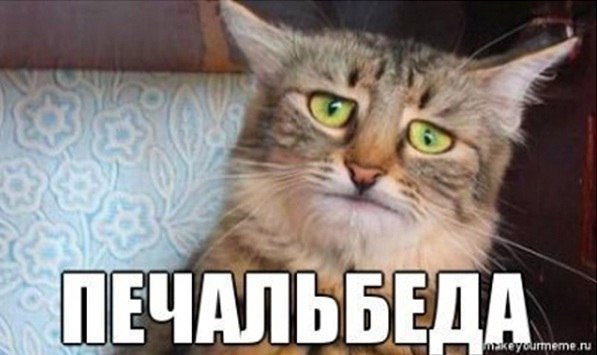 приуныл2.jpg