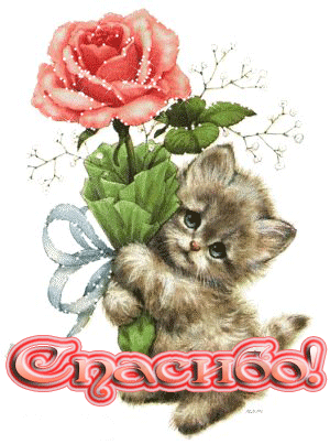 4615305b3c21.gif