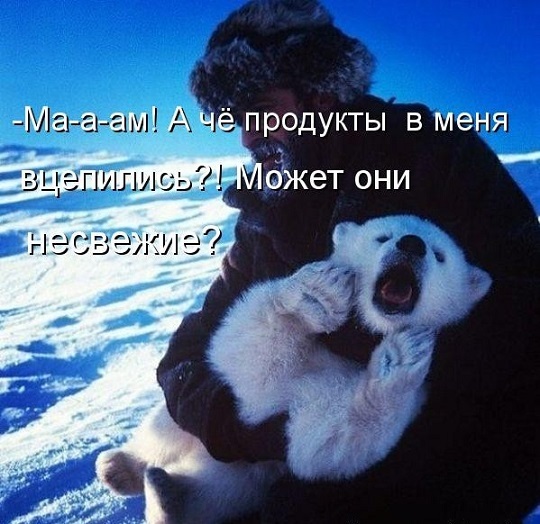 bearwhite.jpg