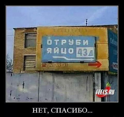 IMG_6184237350488.jpeg