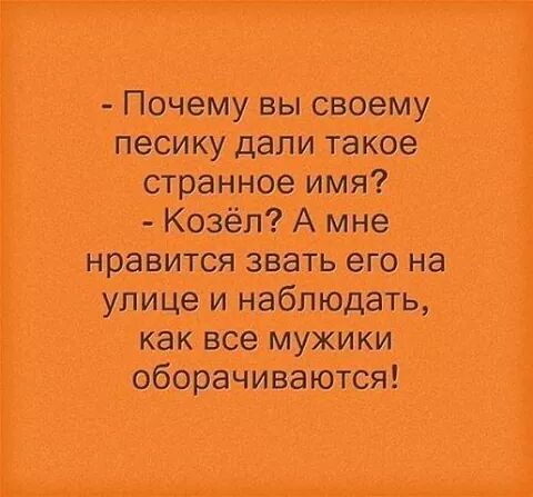 IMG_38741698657889.jpeg