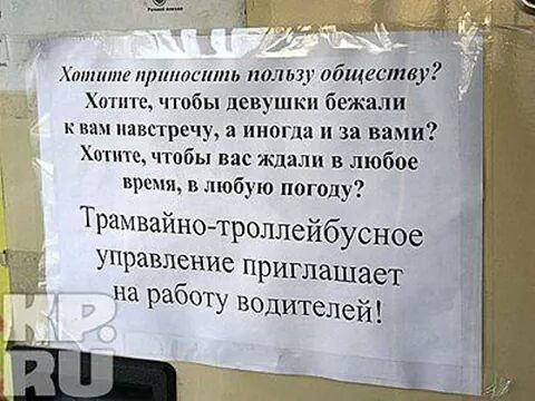 IMG_5088801671977.jpeg