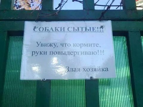 IMG_6688426762720.jpeg