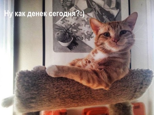 Qnz2qNDQQfk.jpg