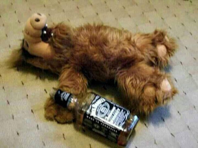 alf drunk.jpg