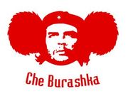 Che_Burashka.jpg