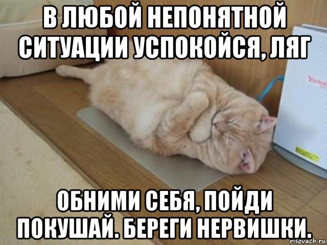 Дзен пойдем. В любой непонятной ситуации. В любой непонятной ситуации обними. В любой непонятной ситуации ляг обними себя береги. В любой непонятной ситуации ложись.