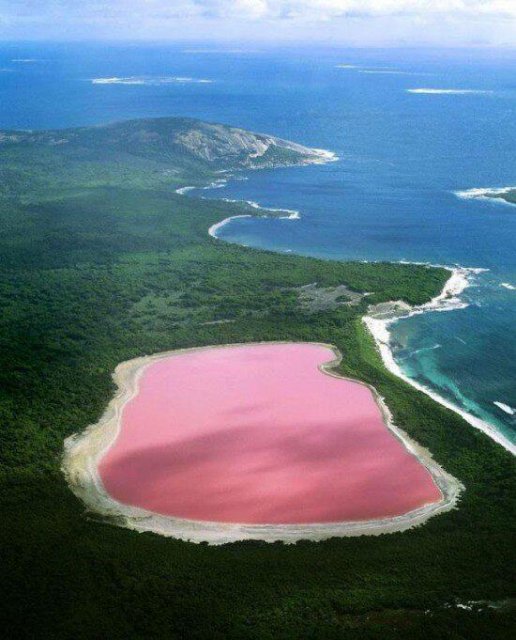 pink lake.jpg