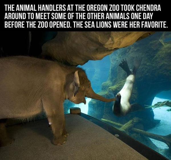 zoo.jpg